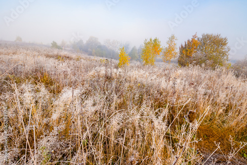 countryside landscape in autumn fog. scenic view. sunny morning. beautiful scenery in carpathian valley. colorful trees in mist. grassy fields in fall season. mysterious weather in ukraine