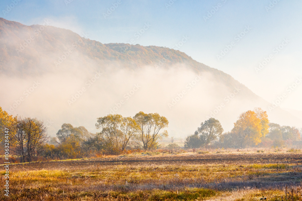 countryside landscape in autumn fog. sunny morning. beautiful scenery in carpathian valley. colorful trees in mist. grassy fields in fall season
