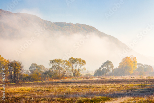 Obraz na płótnie countryside landscape in autumn fog. sunny morning. beautiful scenery in carpathian valley. colorful trees in mist. grassy fields in fall season w salonie
