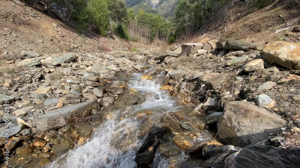 Stony stream bed separates the mountains. Clear water in the forest stream Stony stream bed separates the mountains. Clear water in the forest stream