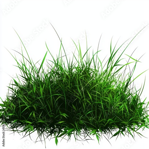 Hand-Drawn Grass Element in Nature Sketch White Background