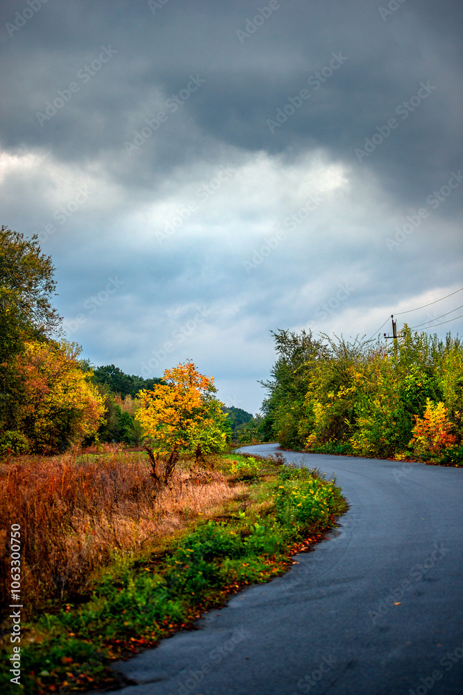 Obraz premium Asphalt road around the forest,path in the forest,countryside road.Autumn landscape photography in the woodlands .Orange and yellow leaves on the road,beautiful road through the forest