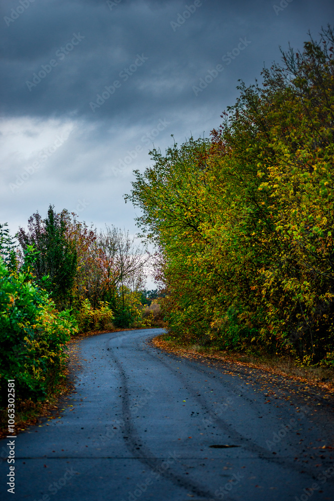 Fototapeta premium Asphalt road around the forest,path in the forest,countryside road.Autumn landscape photography in the woodlands .Orange and yellow leaves on the road,beautiful road through the forest