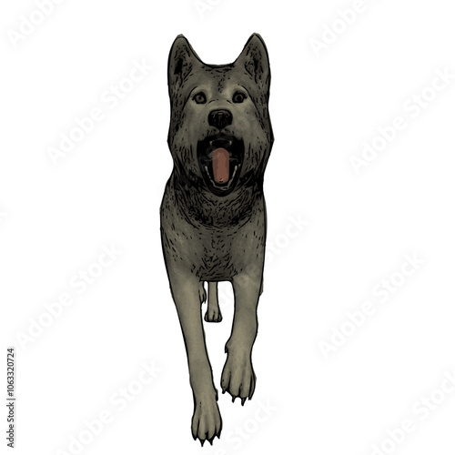 Wolf vector animal ilustration 