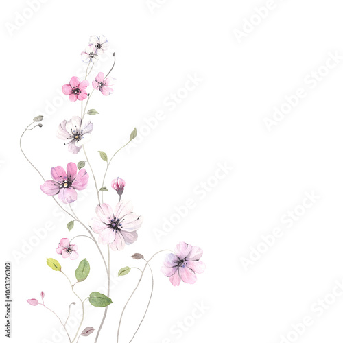 Delicate spring decorative branch with white and pink flowers and delicate green leaves, colorful watercolor isolated illustration for your design greeting or invitation cards, banner or background.