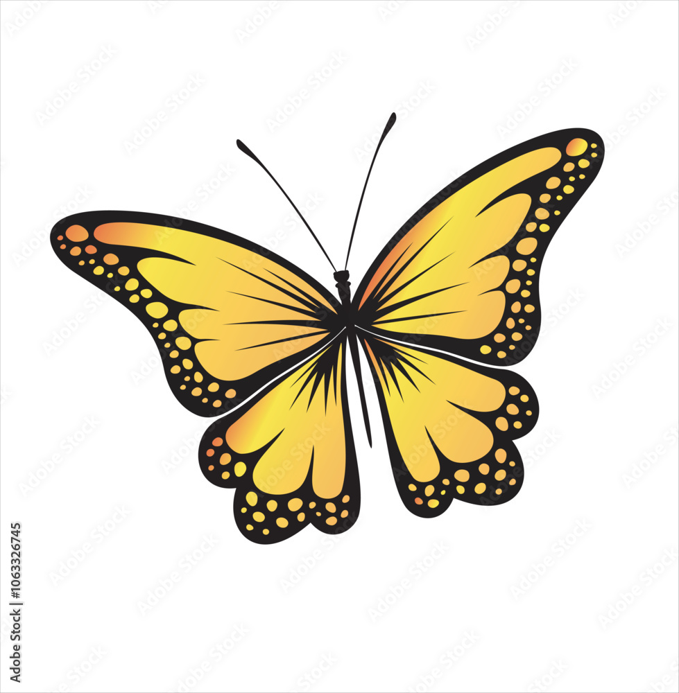 Obraz premium butterfly isolated on white