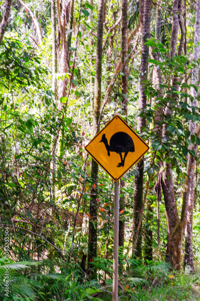 Cassowary warning sign on road in Daintree Rainforest, Queensland, Australia