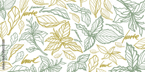 Green and purple basil hand drawn isolated vector set on white background. Vintage style of illustration. Fresh herb leaves plant. Basil herbal Ingredient. Spices.