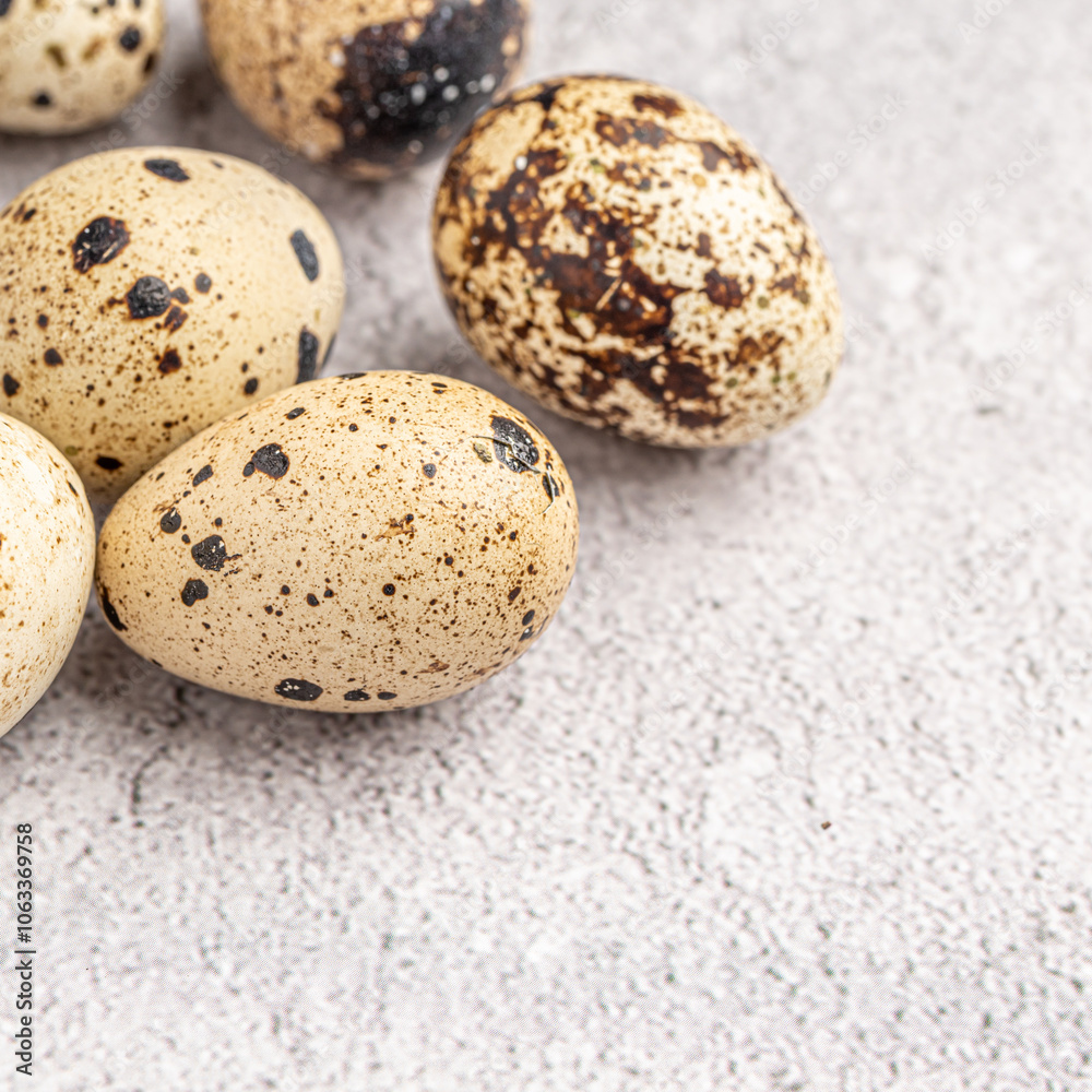 Obraz premium Easter quail eggs. Spring background with small easter quail eggs. Vintage photo processing