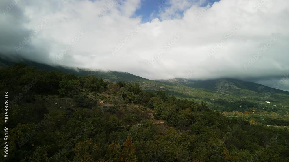 Eagle eye POV of a forest in a cloudy day Eagle eye POV of a forest in a cloudy day
