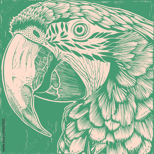 Macau parrot, vector illustration