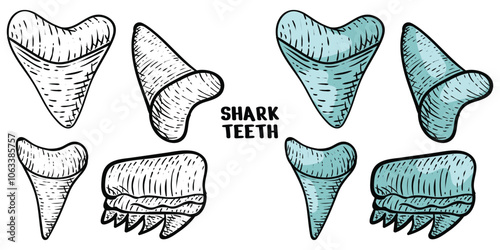 shark teeth set hand drawn engrave style vector art icon
