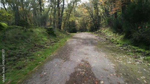 Hovering over a forest road in a cloudy day