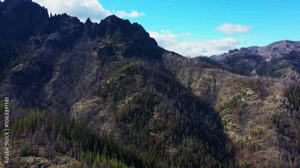 Scenic Aerial view of the pacific northwest landscape with mountain ranges covered in Evergreen Forest in Washington State. Scenic Aerial view of the pacific northwest landscape with mountain ranges covered in Evergreen Forest in Washington State.