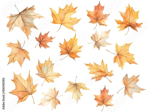 Watercolor Sycamore Leaves in Soft Golden Hues Scattered on White Background