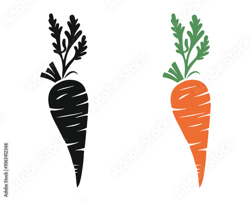 A simple illustration of a carrot in two different styles. photo