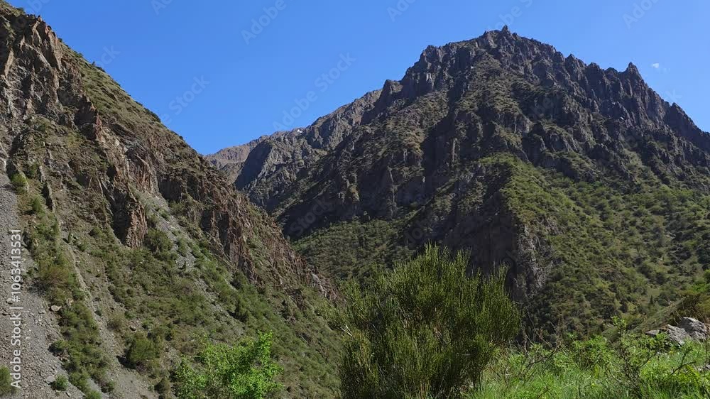 large mountain in font of green grass hill with bush at windy sunny summer day and blue sky background large mountain in font of green grass hill with bush at windy sunny summer day and blue sky background