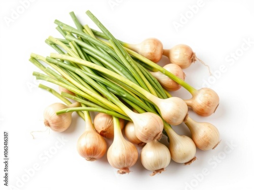 Fresh bulbs of onion with green stems and papery skins, arranged neatly on a white background, healthy, papery skins photo