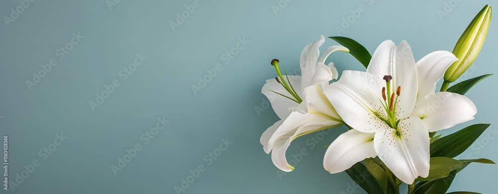 Capture the beauty of a macro shot of lily flowers with high clarity and vibrant light for stunning visuals Capture the beauty of a macro shot of lily flowers with high clarity and vibrant light for stunning visuals