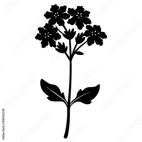 Verbena flower silhouette vector illustration