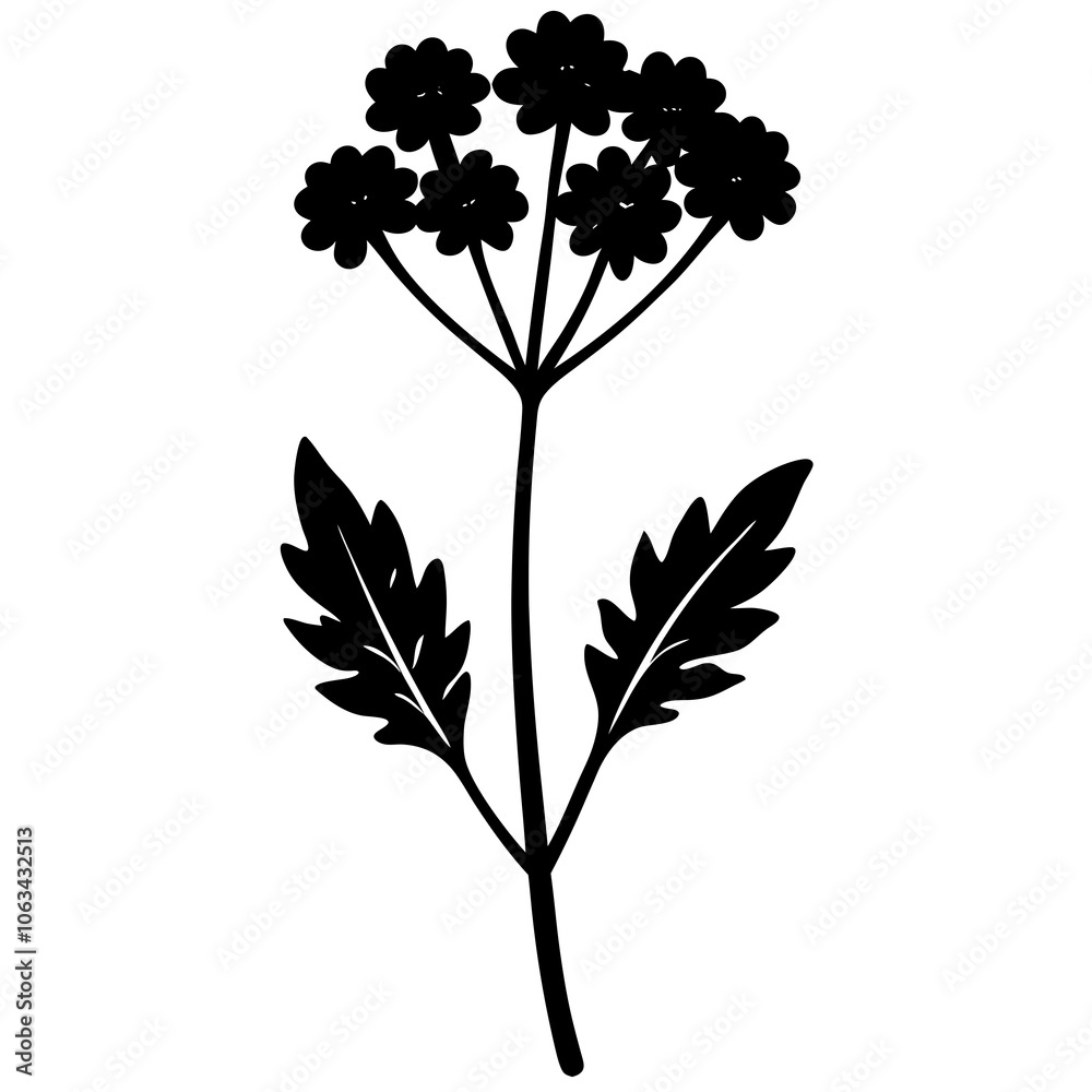 Obraz premium yarrow flower silhouette vector illustration