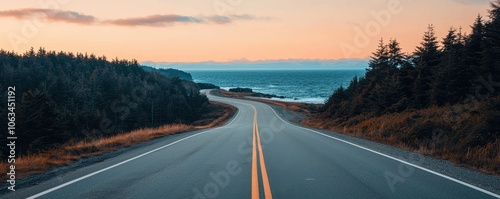 A coastal highway with views of the ocean on one side and a dense forest on the other, with golden sunset light, Scenic, Photography photo