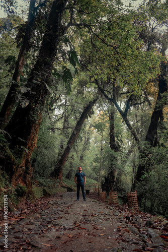 Mysterious Jungle Path with Man Gazing Up