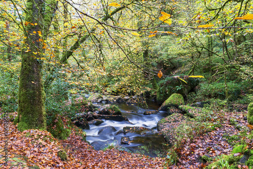 La rivière d'Argent en pose longue, se fraye un chemin entre les rochers et les arbres flamboyants de la forêt d'Huelgoat, capturant l'essence de l'automne. 