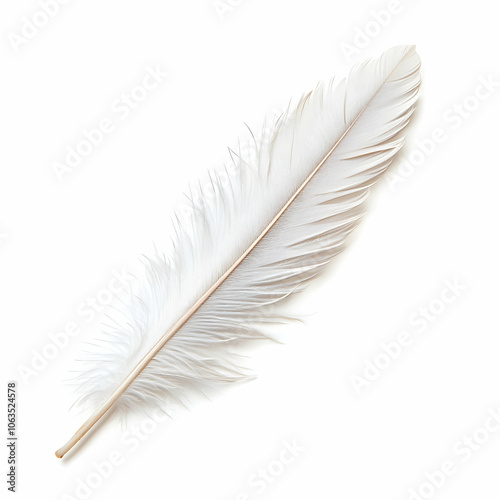 Single White Feather Isolated on White Background, single feather, bird feather, soft feather, delicate feather, plume