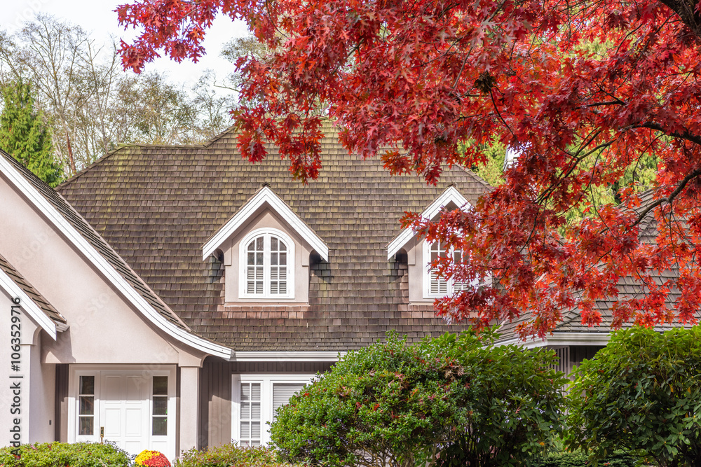 Fototapeta premium Top of grey stucco luxury house with shingle roof, red and yellow trees and nice windows in Fall in Vancouver, Canada, North America. Day time on November 2024.