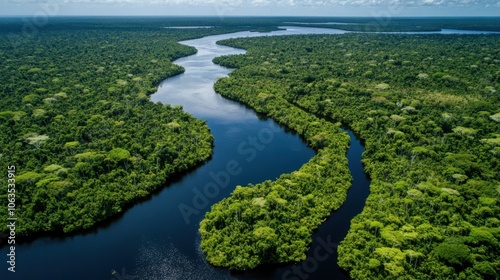 An aerial perspective of the Amazon rainforest showcasing