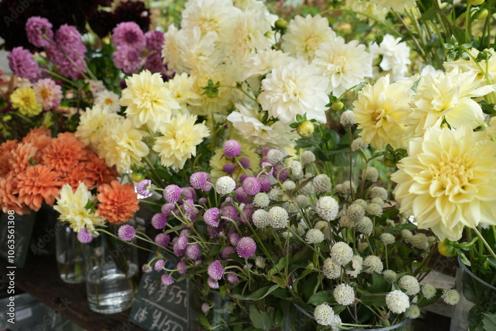 Colorful Flower at Flower Shop - 花屋 色とりどりの生花