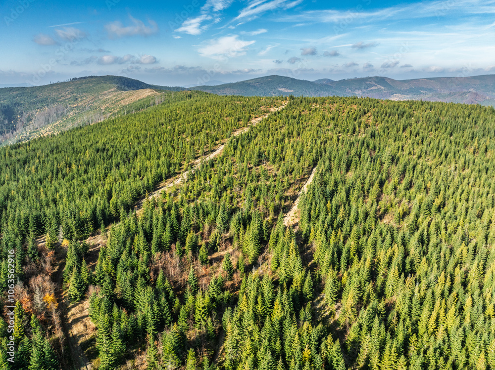 Fototapeta premium Beautiful sunny autumn in the Silesian Beskid.Aerial drone view of beskid mountains in autumn.Colorful autumn trees and forest in the mountains. Glinne, Radziechowska, Barania in the Polish Beskids.