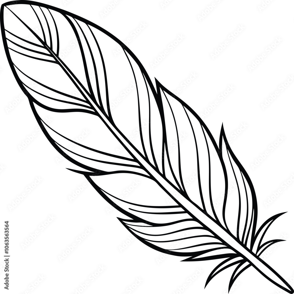 Hand drawn featherline art vector illustration Hand drawn featherline art vector illustration