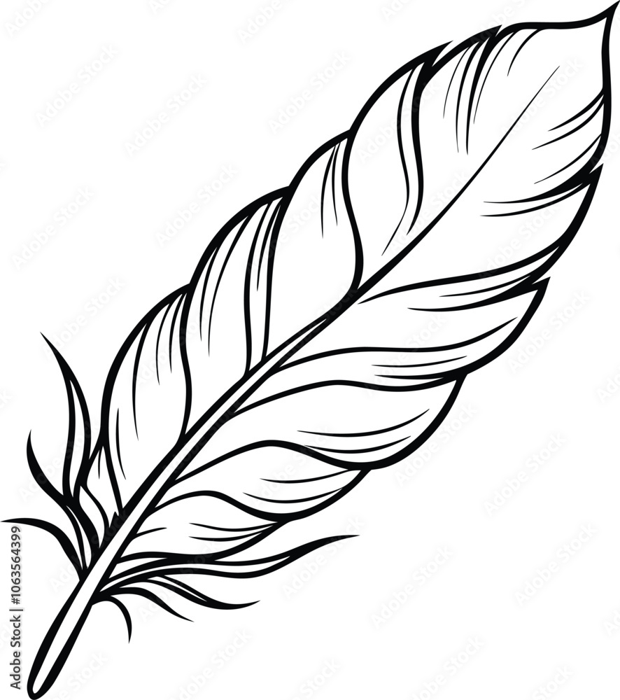 Hand drawn featherline art vector illustration Hand drawn featherline art vector illustration