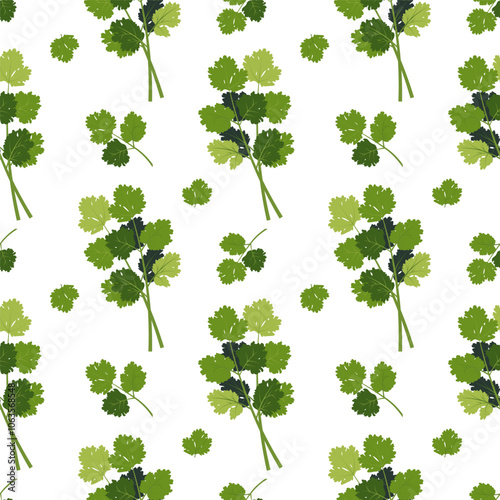 Coriander and cilantro seamless pattern. Cooking herbs and spices, Italian food and aroma herbs endless texture for wrapping design. Coriander and cilantro seamless design, vector flat illustration.