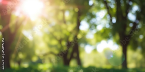 Blurred bokeh background of foliage in a sunny garden day, tranquil, texture, beauty