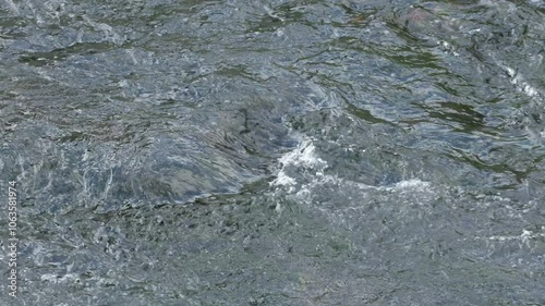 きれいな川の流れ