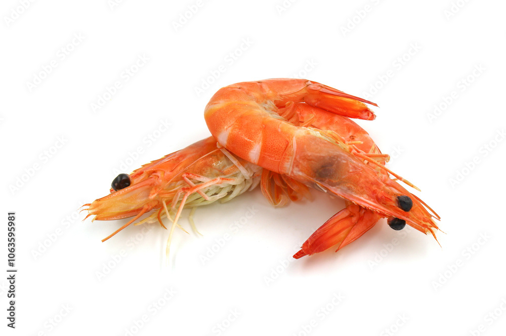 Red cooked prawn isolated on white background as package design element Red cooked prawn isolated on white background as package design element