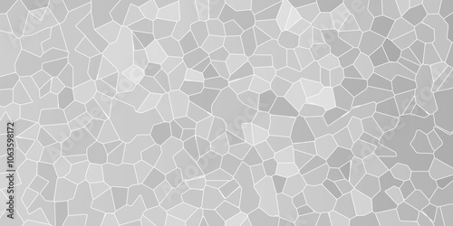 Abstract white, gray broken stained glass background with white line. geometric polygonal background with different figures. low poly crystal mosaic background. triangle background pattern shape.