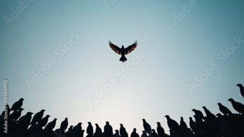 Bird Soaring Above a Silhouette of Other Birds photo