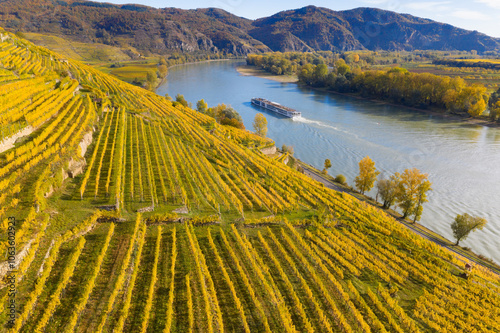 Autumn panorama of Wachau valley (Unesco world heritage site) with ships on Danube river near the Weissenkirchen village in Lower Austria, Austria