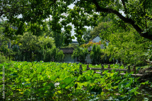 Photography Zuibaichi Park, Songjiang District, Shanghai, China
