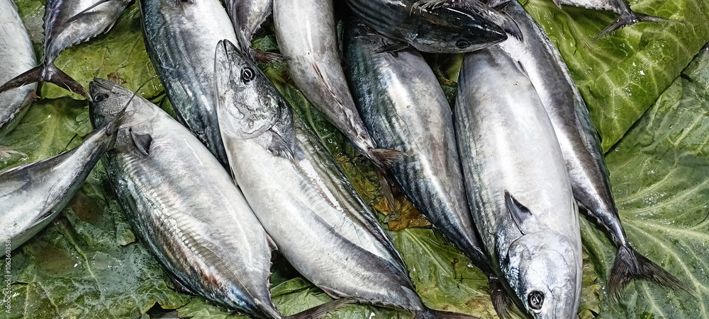 Obraz premium raw fish big fish bonito background
