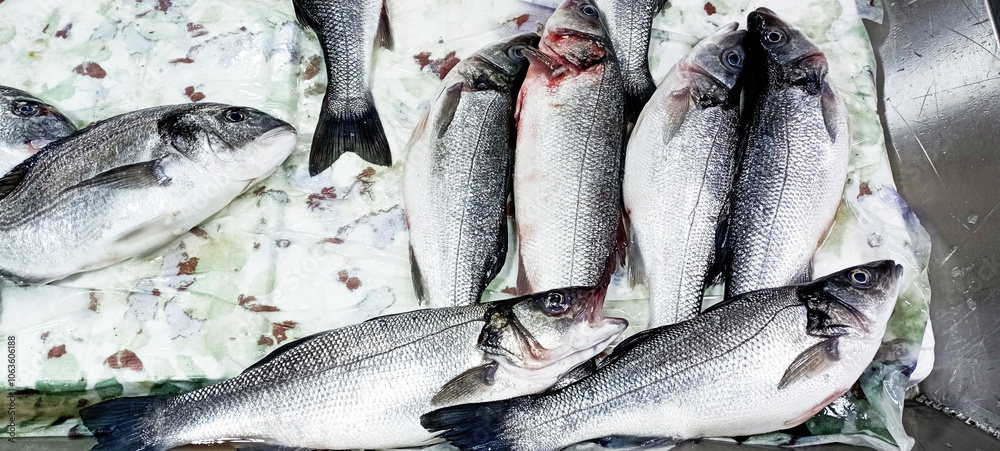 Obraz premium Cinekop / Sarikanat fish with ice in styrofoam box.