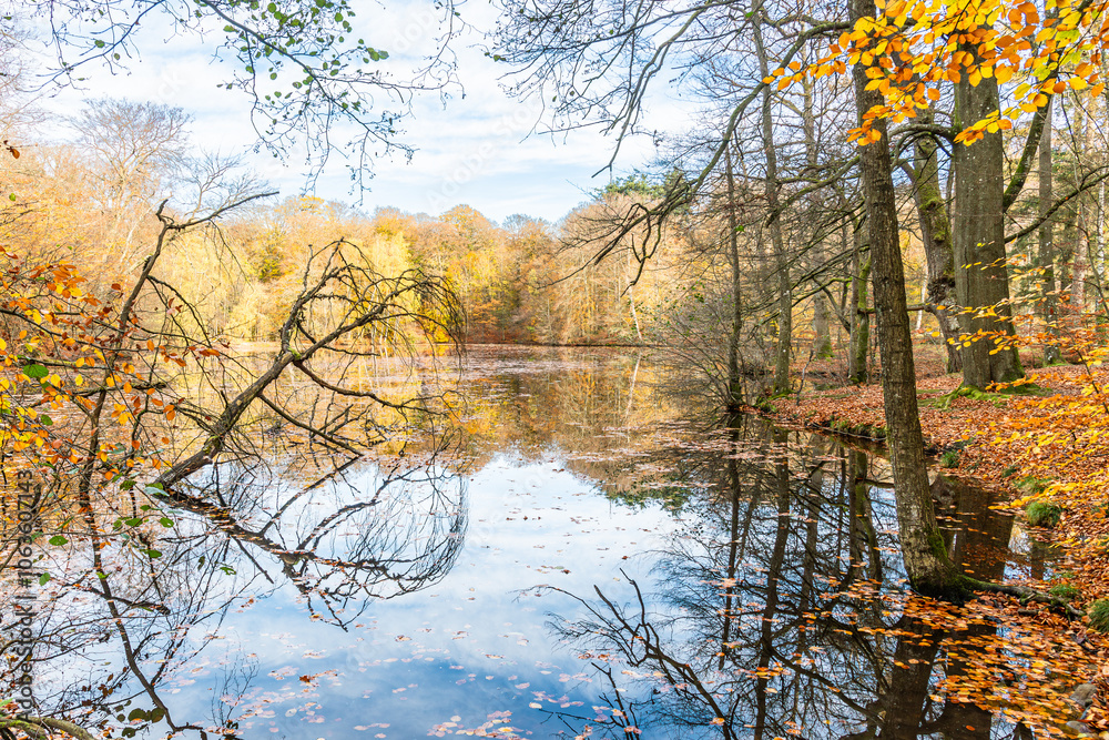 Obraz premium Autumn in Denmark 