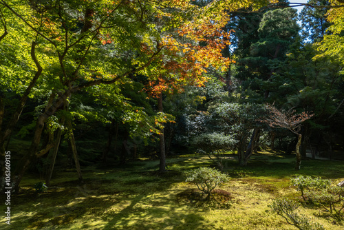 Japanese garden in Ginkakuji Temple, Kyoto, Japan