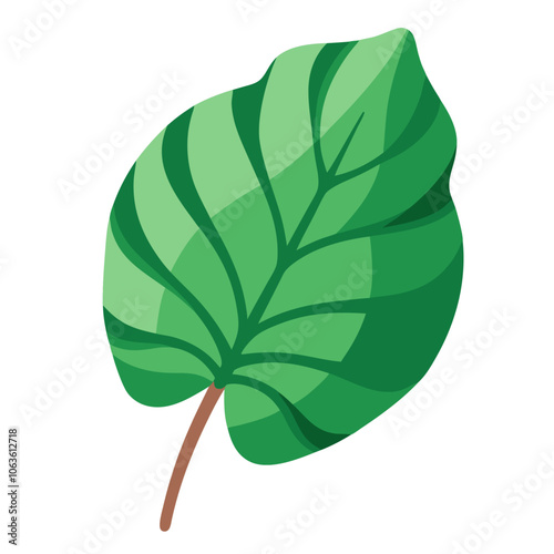 Alocasia plant leaf, flat style isolated. Green indoor flower of alocasia leaf. Vector illustration photo