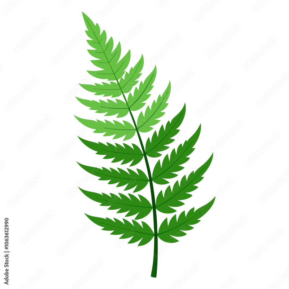 Fern leaf. fern branch flat style isolated. Vector illustration