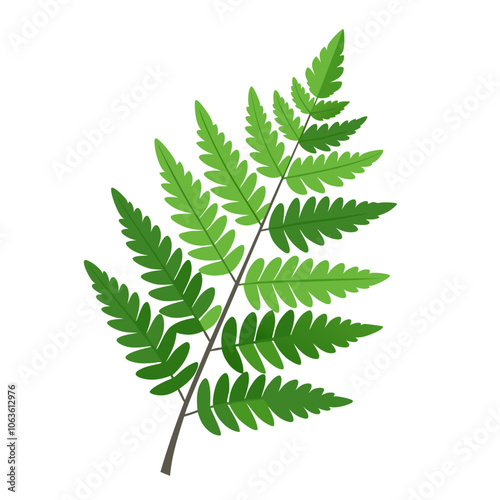 Fern leaf. fern branch flat style isolated. Vector illustration